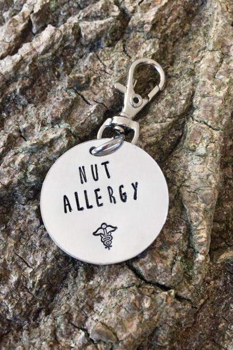Childrens Lunchbox Tag, Allergy Tag, Medical Tag, Allergy Warning, Lunchbox Tag, School Bag Tag, Coat Tag, Allergy, Awareness Tag, ICE,
